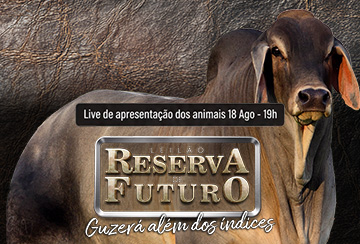LIVE DE APRESENTAÇÃO E HAPPY HOUR - LEILÃO RESERVA DE FUTURO